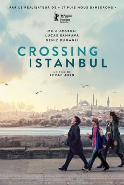 Crossing Istanbul (2024)